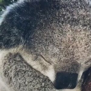 Meet your Posher, Raquel